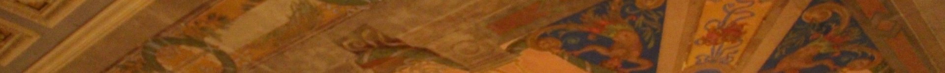 top banner